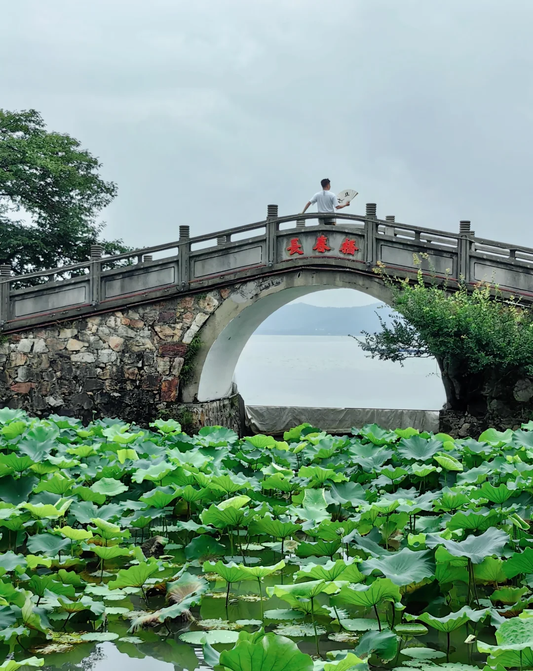 江南水乡灯火阑珊💙春晚会场无锡3日攻略