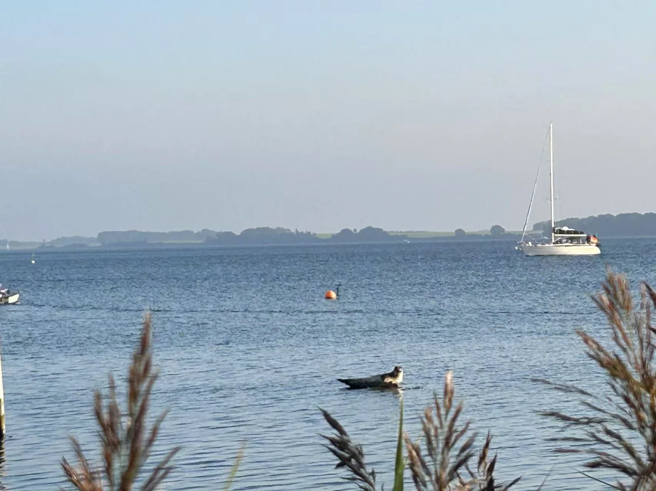 丹麦游记-2024.09