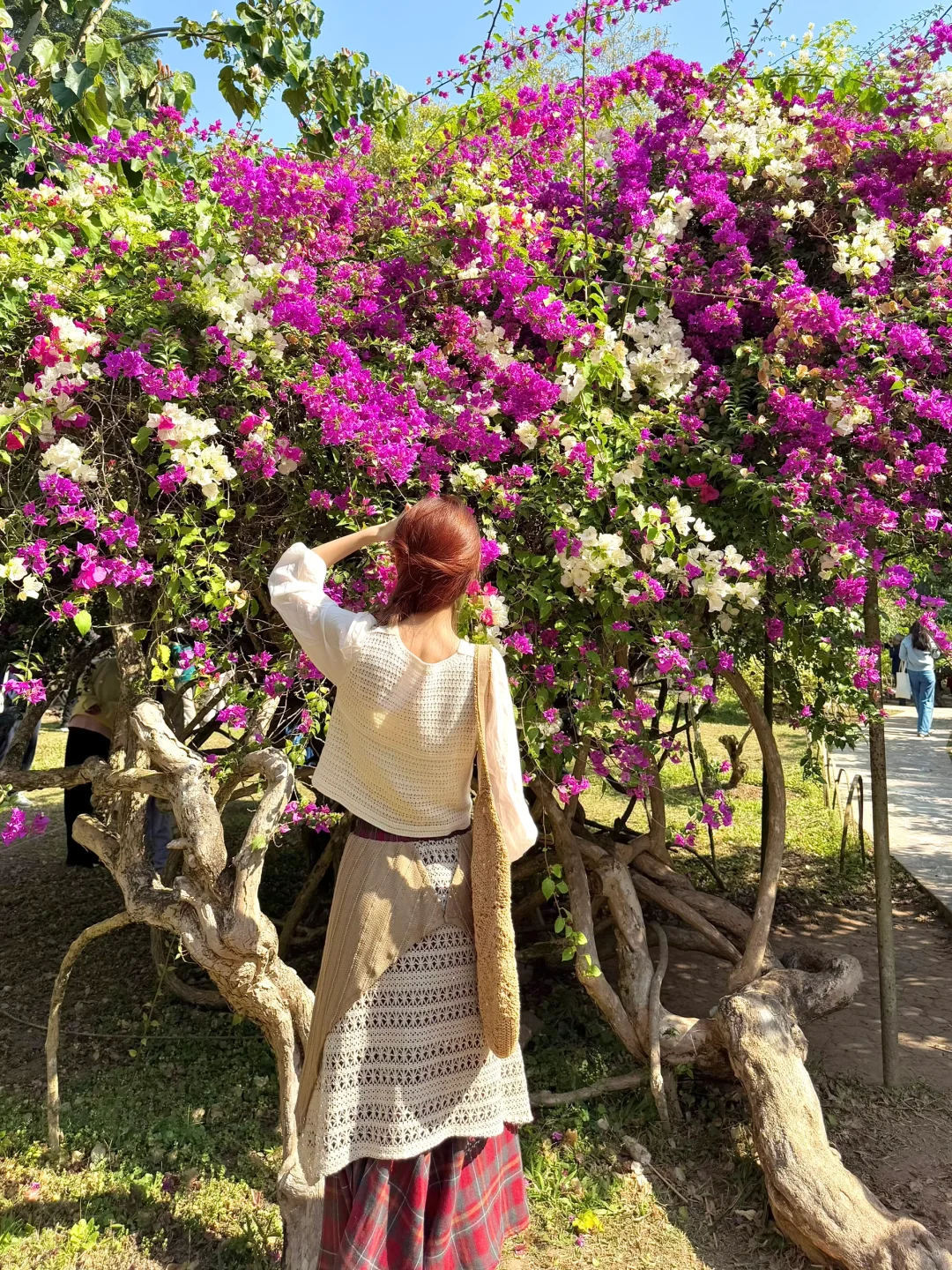 去西双版纳玩了一圈