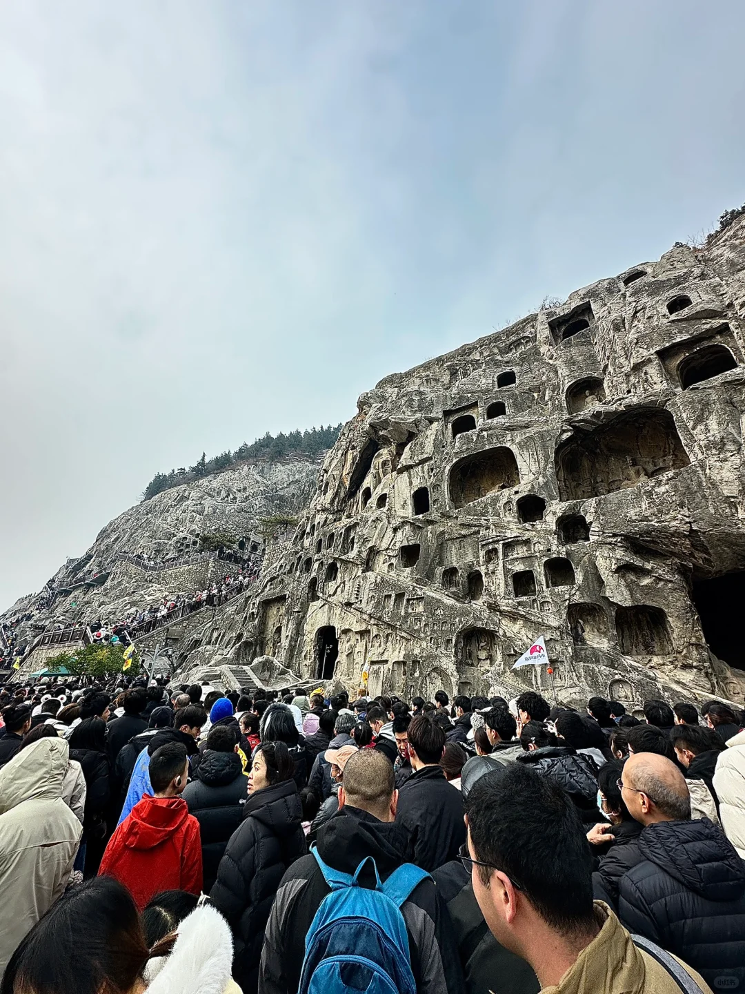 1.31日大年初三龙门石窟实况！劝退！！