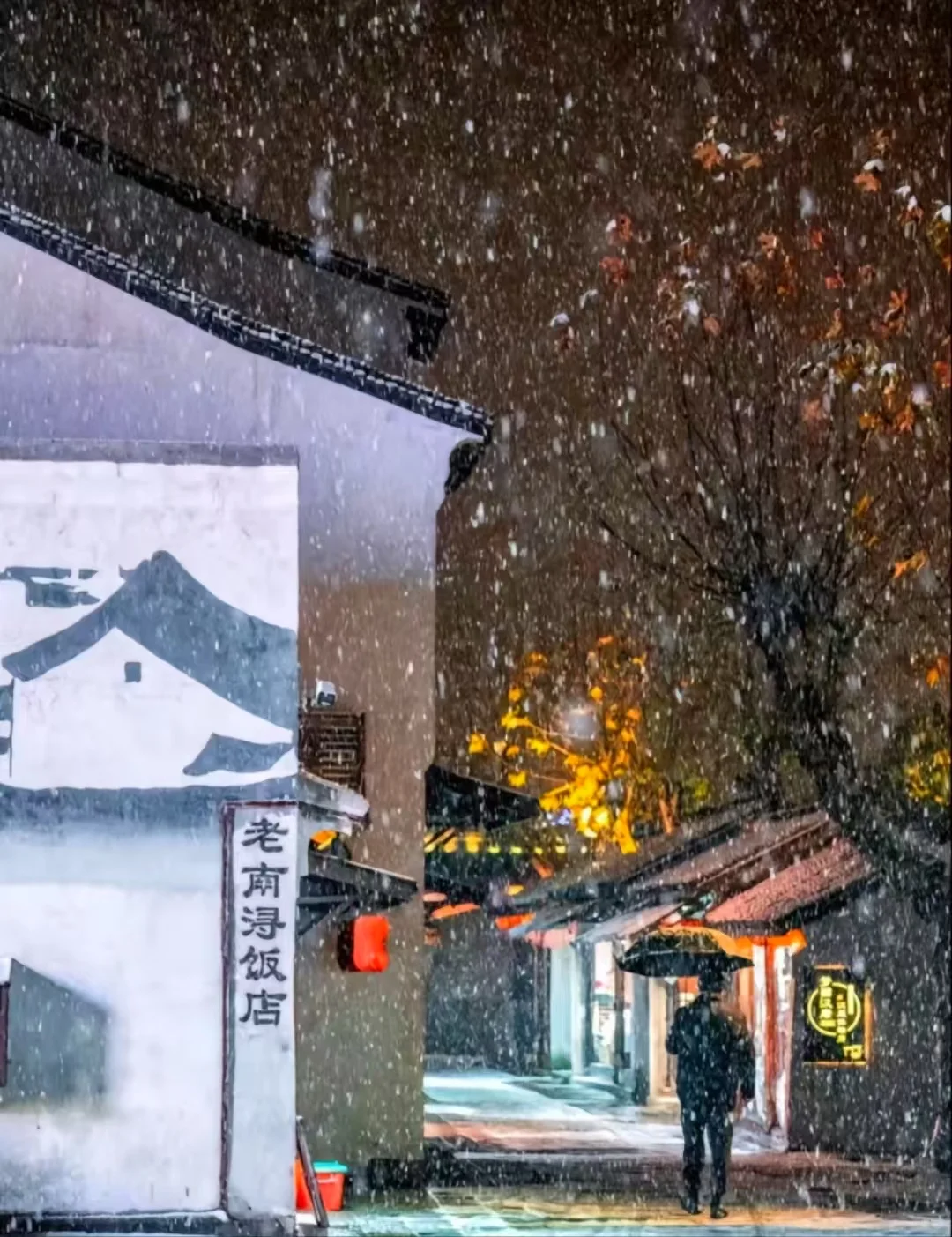 邯郸春节去乌镇南京苏沪杭4日游，旅游攻略