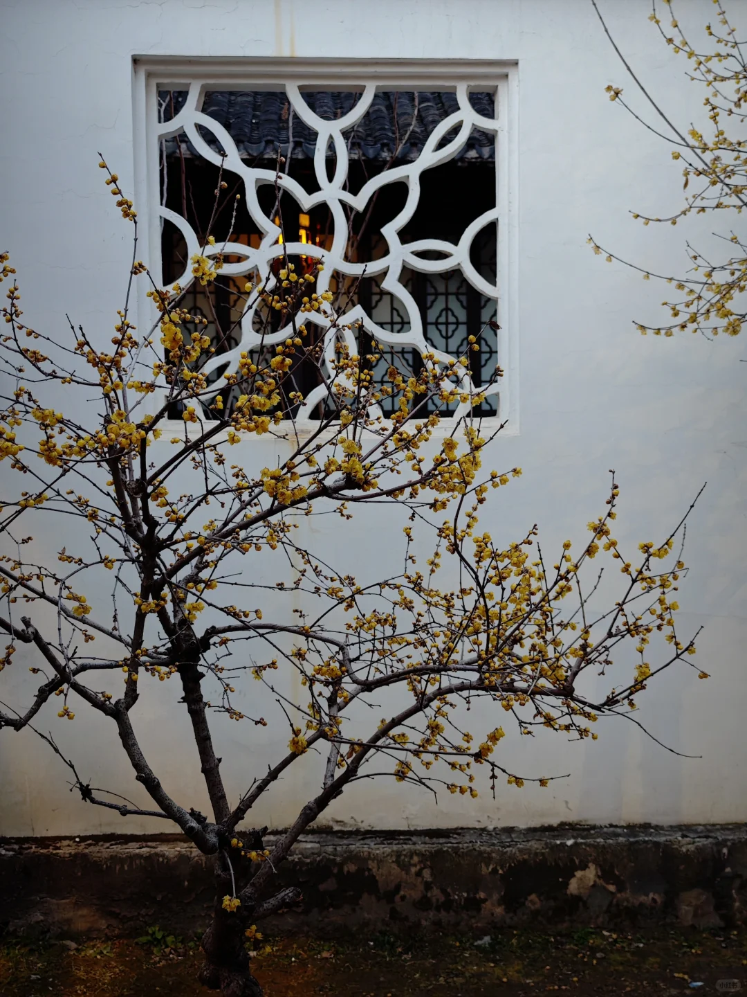 瞻园新造园，气韵有传承