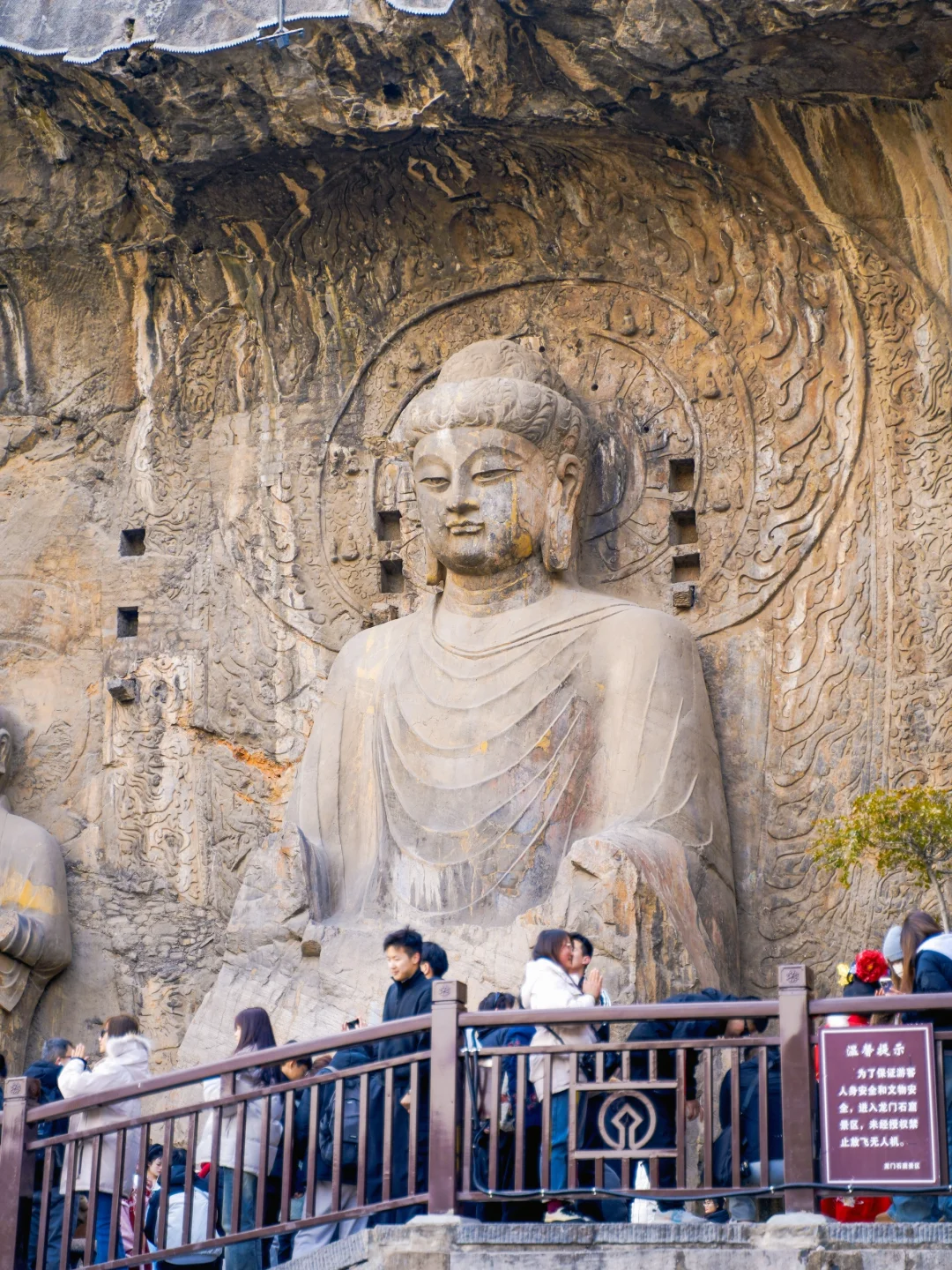 离开洛阳的后劲比失恋还大😭 附3日游攻略❗️