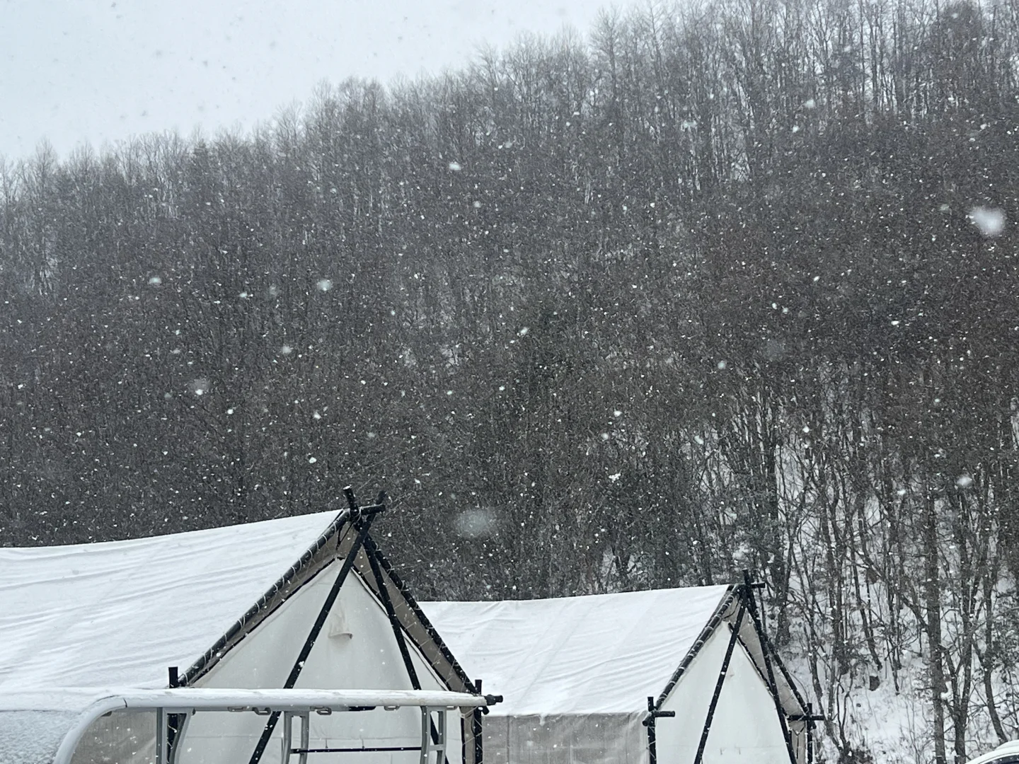 2.5天燕下大雪啦~