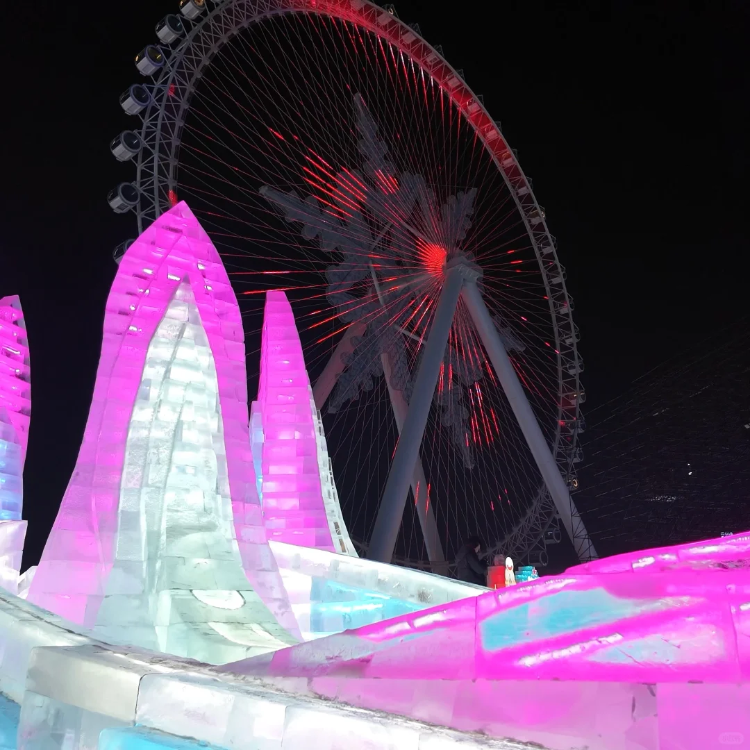 🎿 哈尔滨冰雪大世界 VS 长春冰雪新天地 ❄️