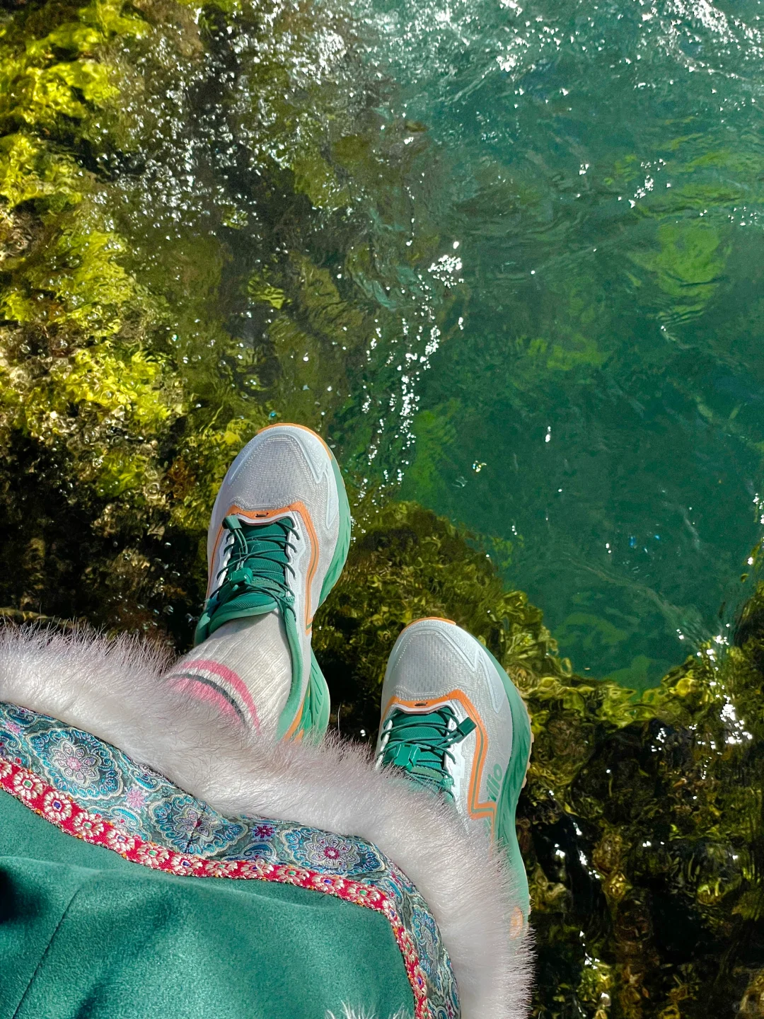 大年初一！我被九寨沟和水獭🦦美得睡不着！！