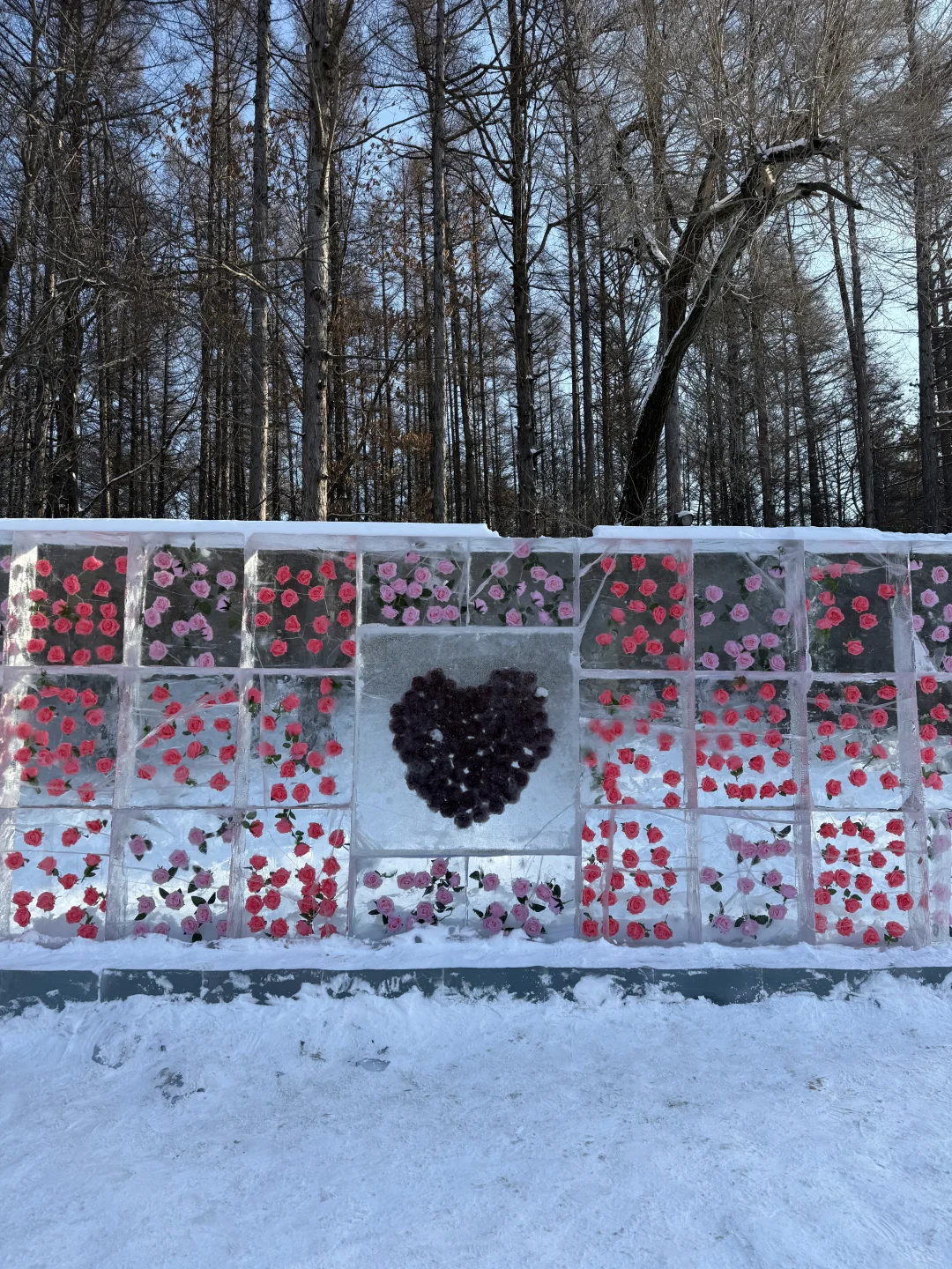 净月潭2025冬季最新游玩攻略❗️