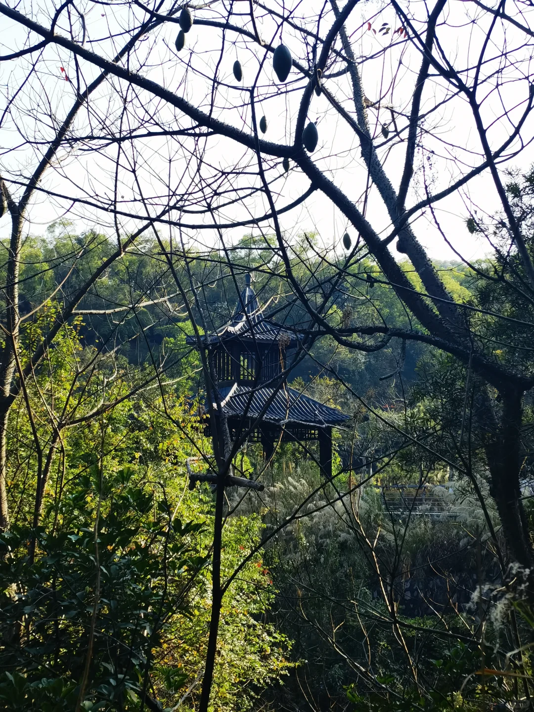 广东中山国家森林公园 — 金钟湖景区