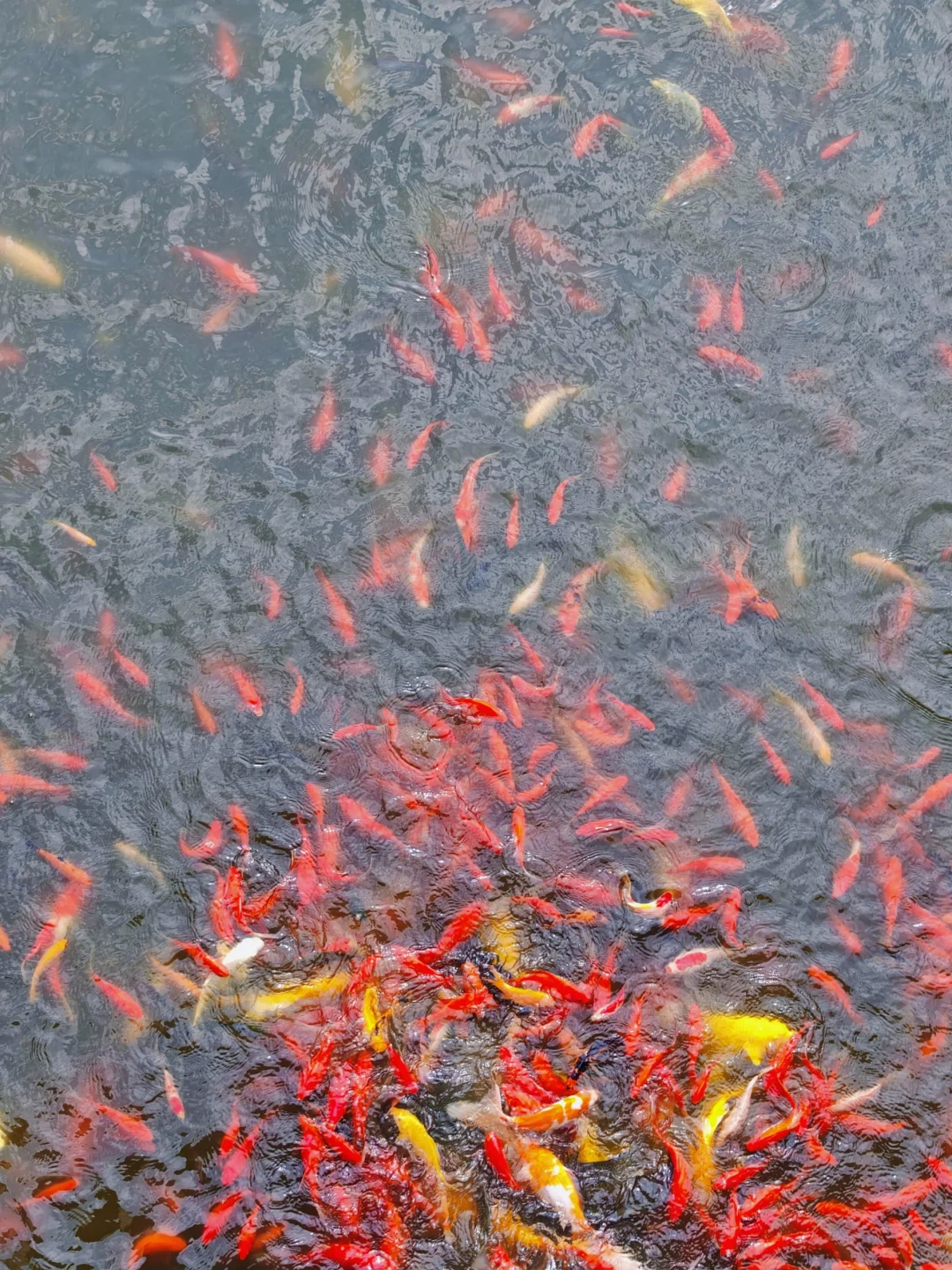 河北邯郸｜甘露寺