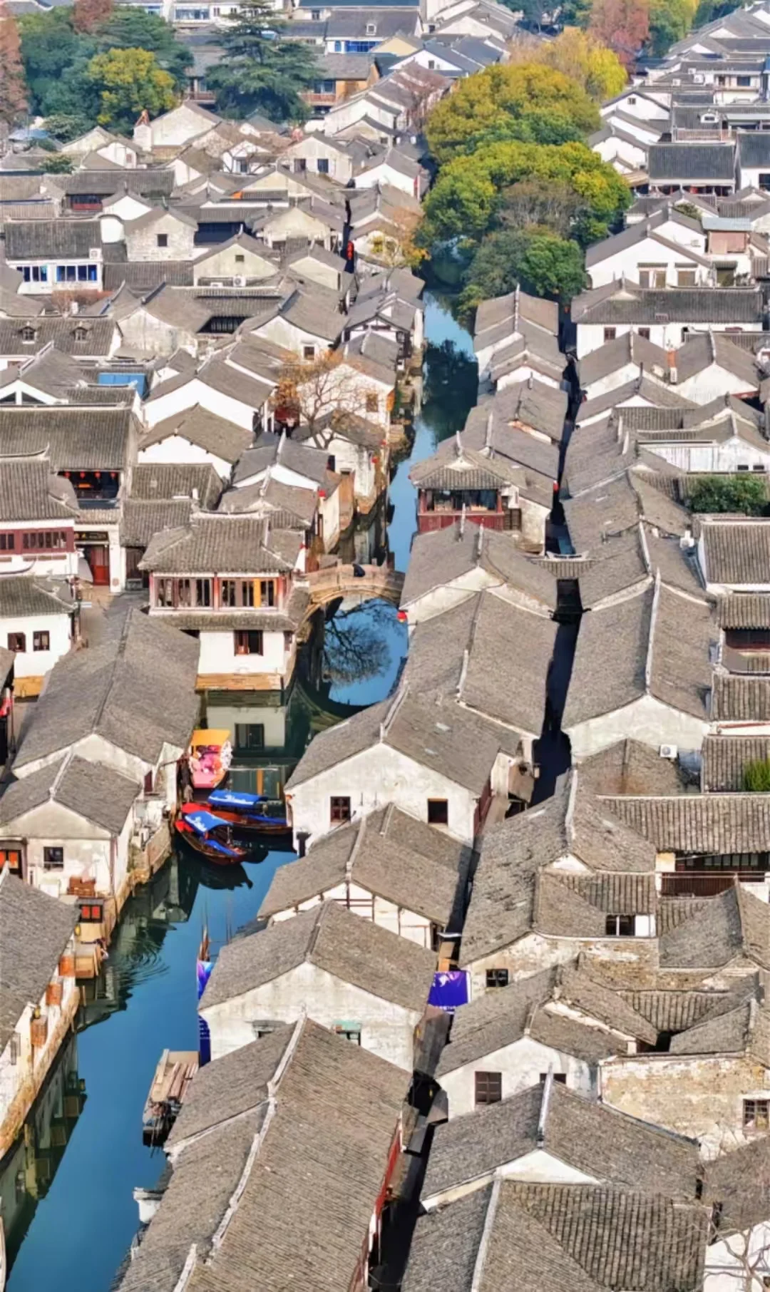 邯郸春节去乌镇南京苏沪杭4日游，旅游攻略