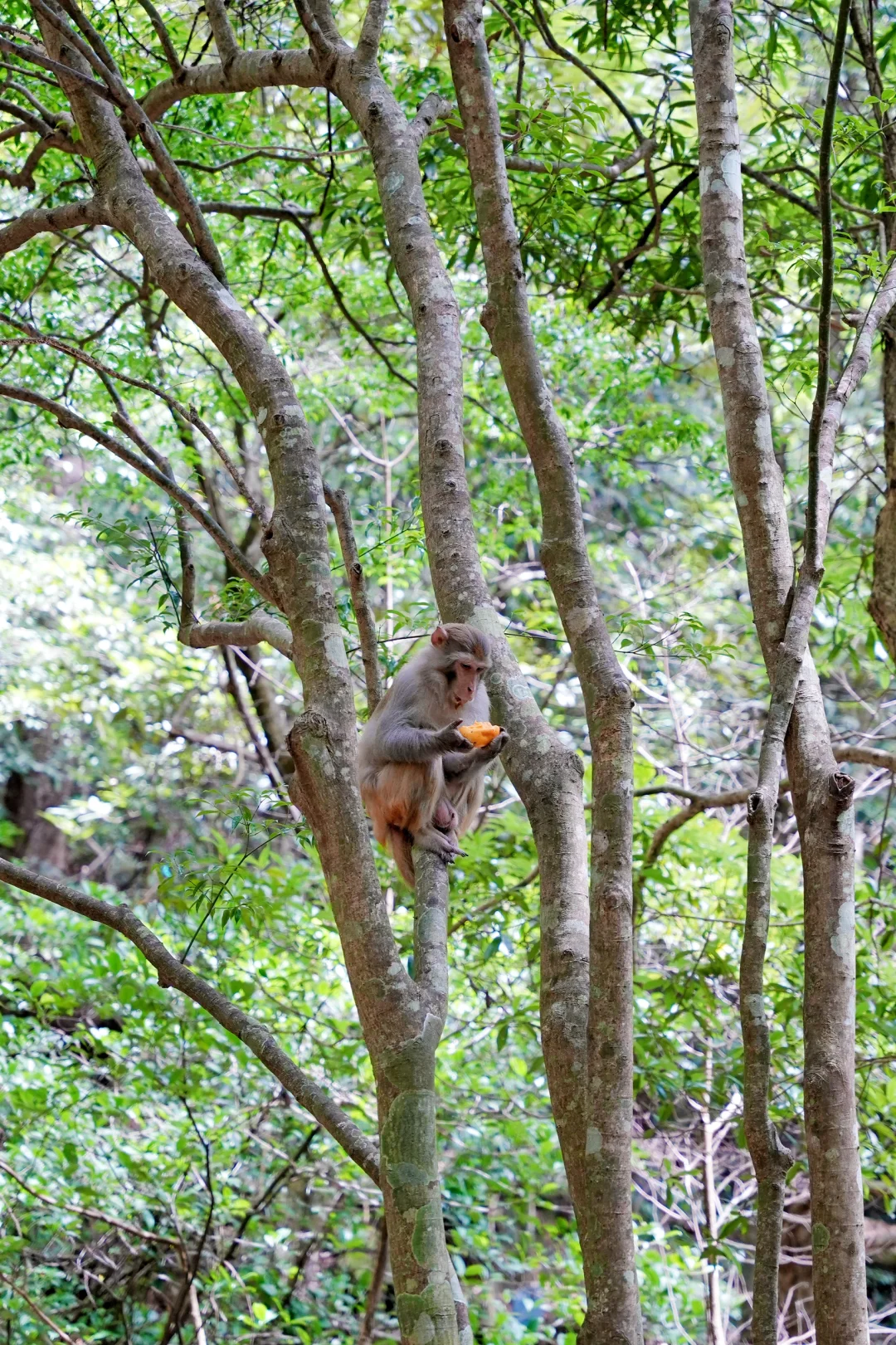 来广西玩，真的不要错过这里