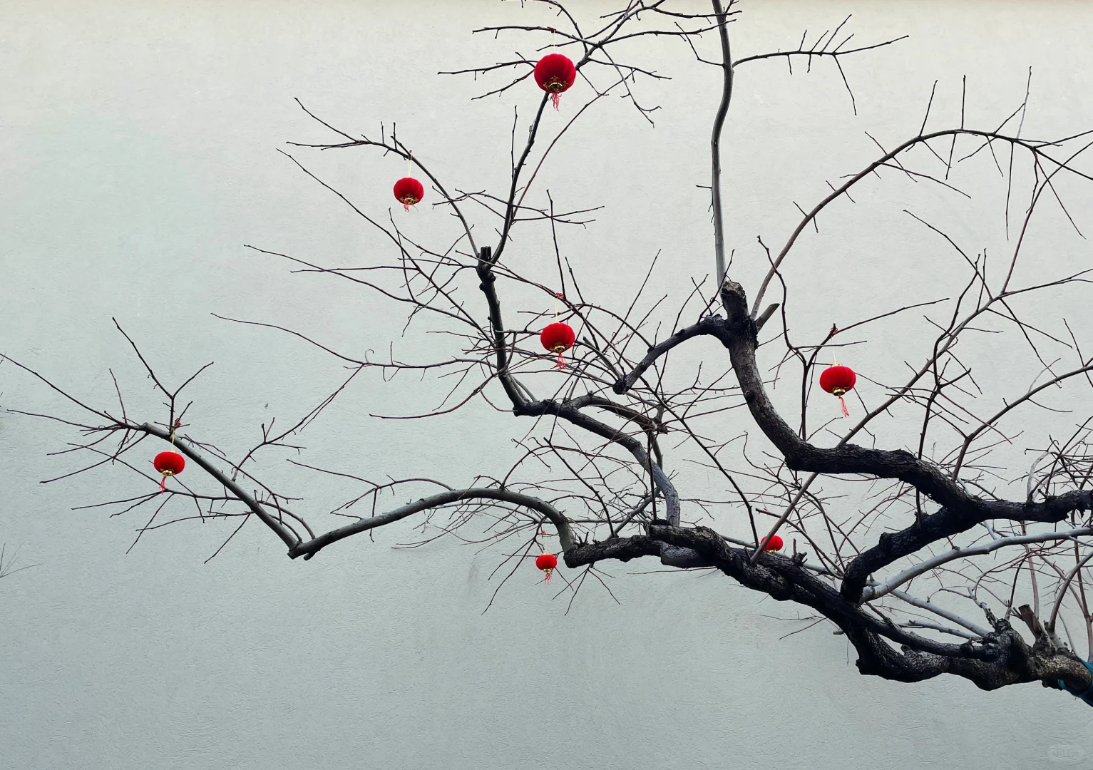 南京周边打卡—芜湖一日游