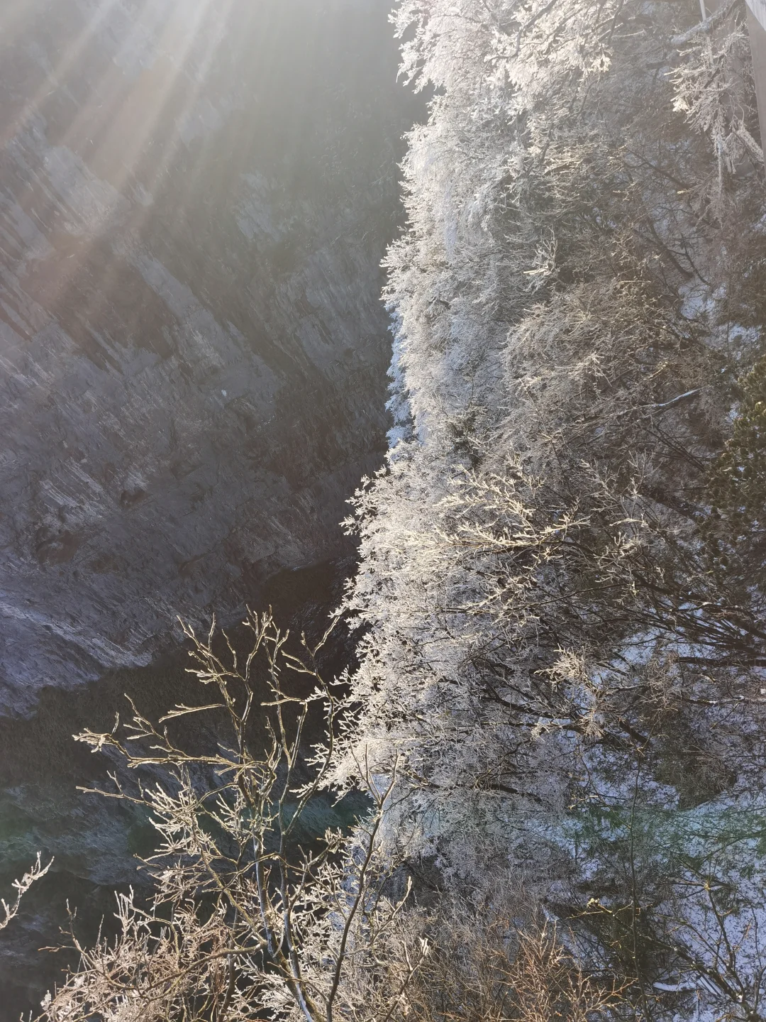 实时避雷✗张家界天门山！不排队畅玩！