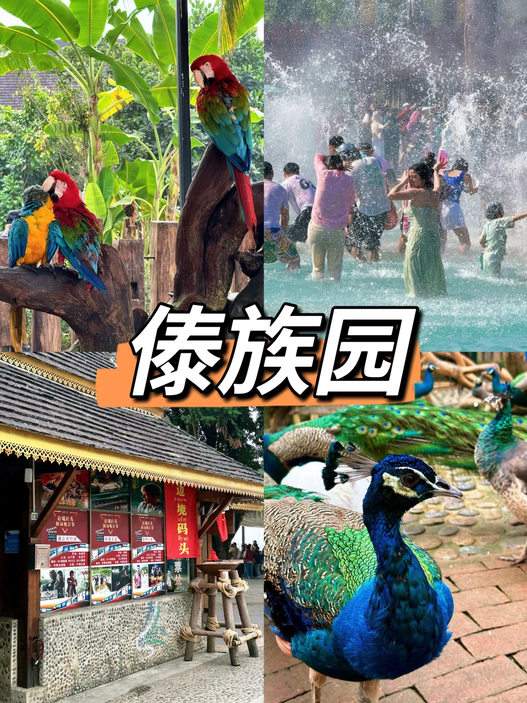 西双版纳┃亲测！！傣族园值得去！！