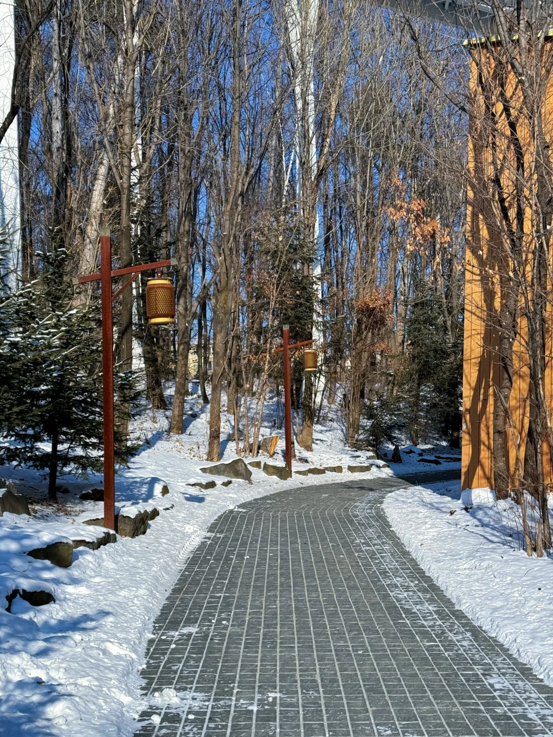 长白山大惊喜❗️二道白河镇免费景点一日游❗️