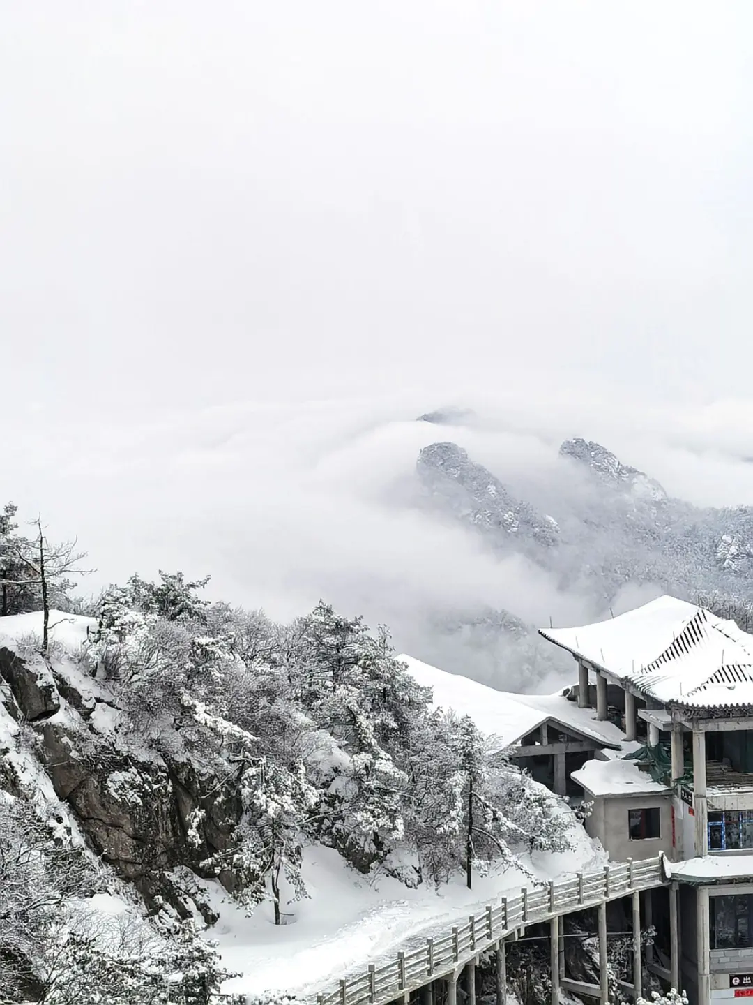 2.3号老君山实况，抵达山顶彻底崩溃了🥶……