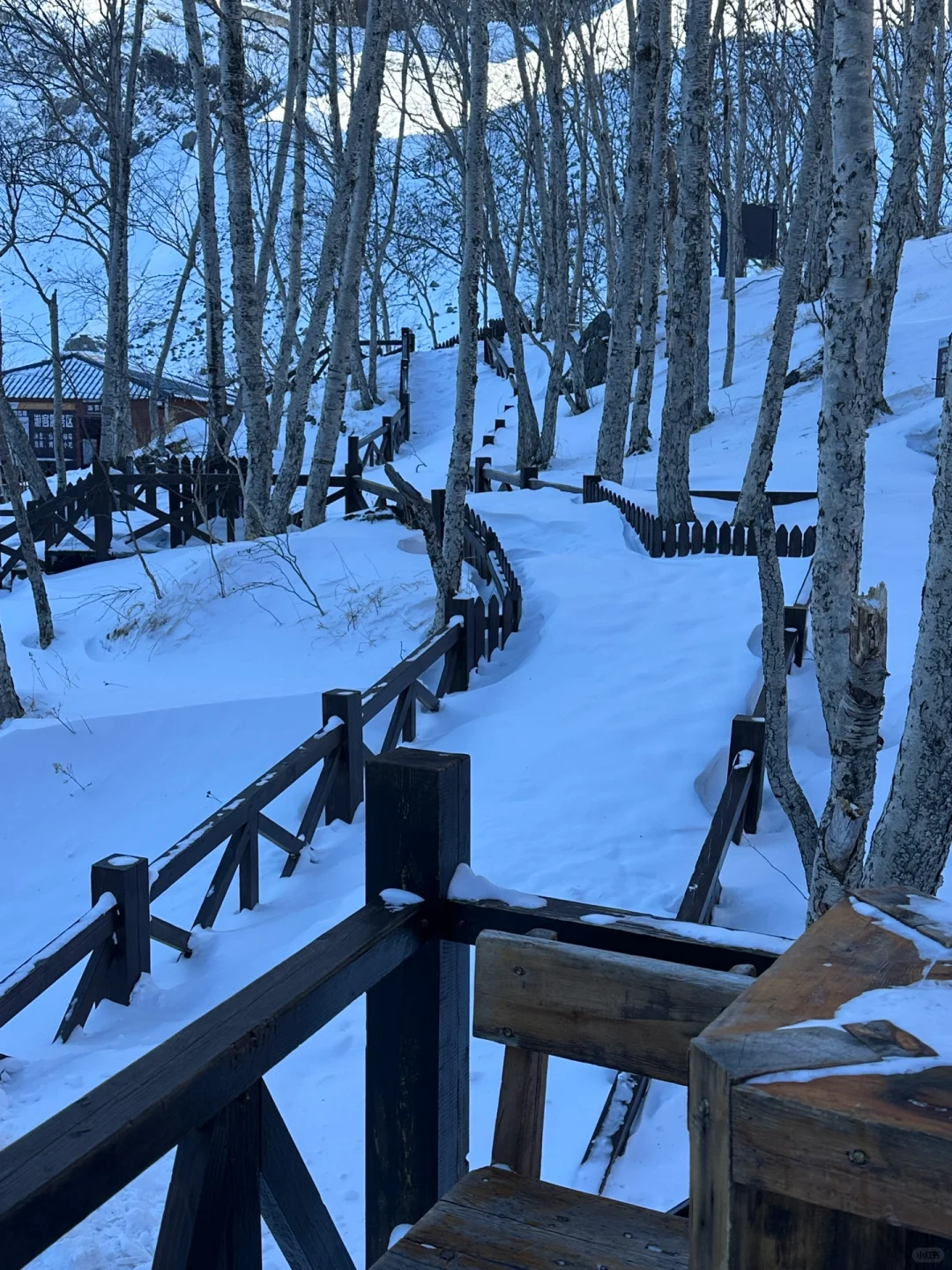 一定要看完这篇再去长白山❗️🏔️