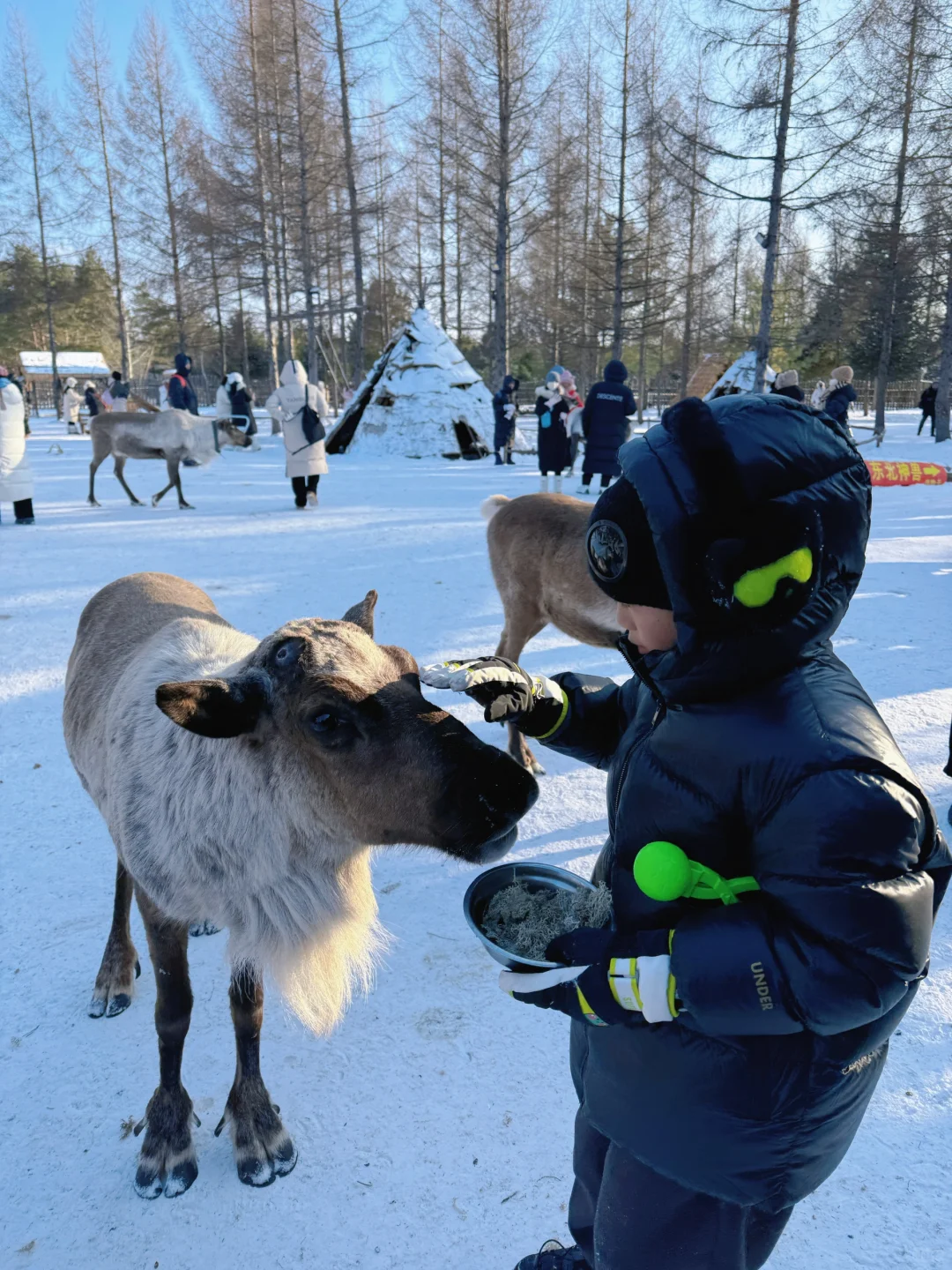长白山大惊喜❗️二道白河镇免费景点一日游❗️