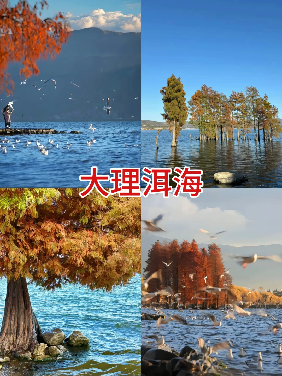 蛇年来云南！真纯玩！暖冬畅游爽歪歪😘