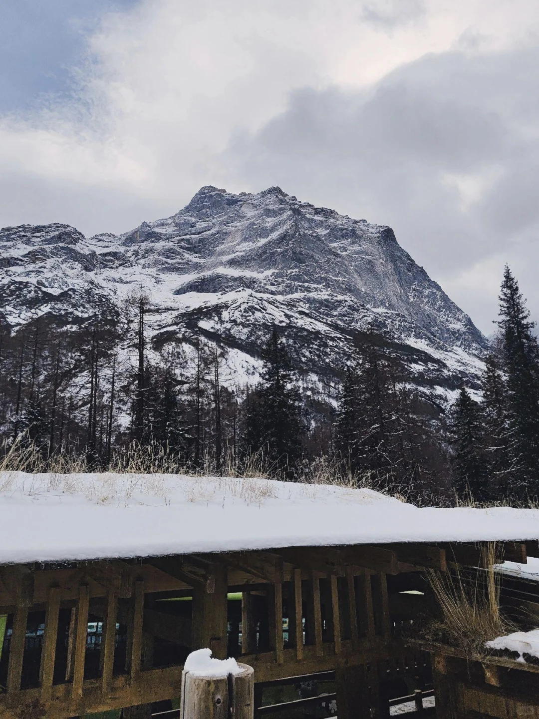 川西会惩罚每个不做攻略的人🥶🥶🥶