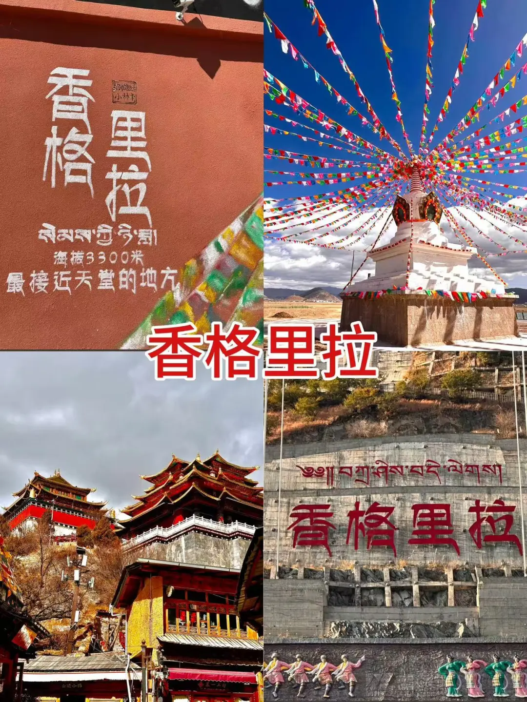 蛇年来云南！真纯玩！暖冬畅游爽歪歪😘