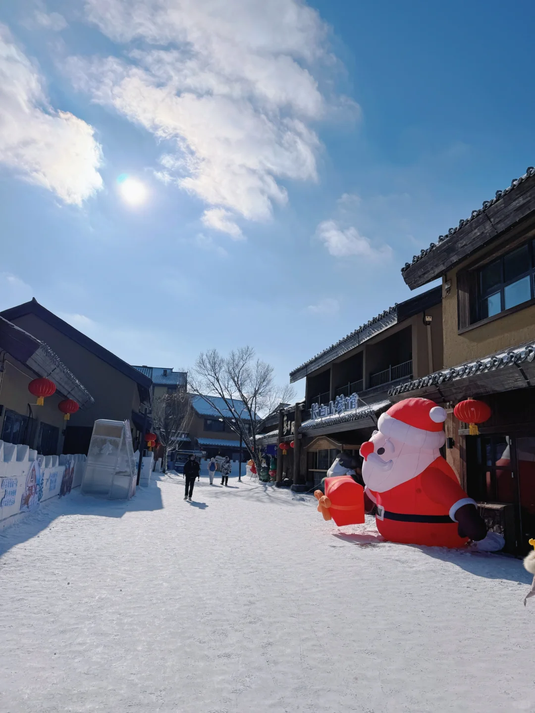 长白山大惊喜❗️二道白河镇免费景点一日游❗️