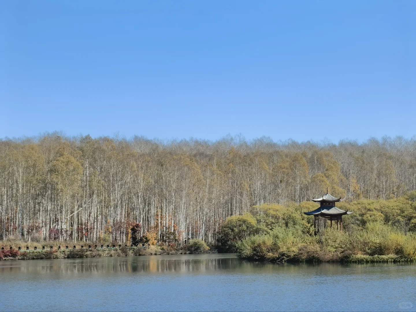 【长白山】旅行分享