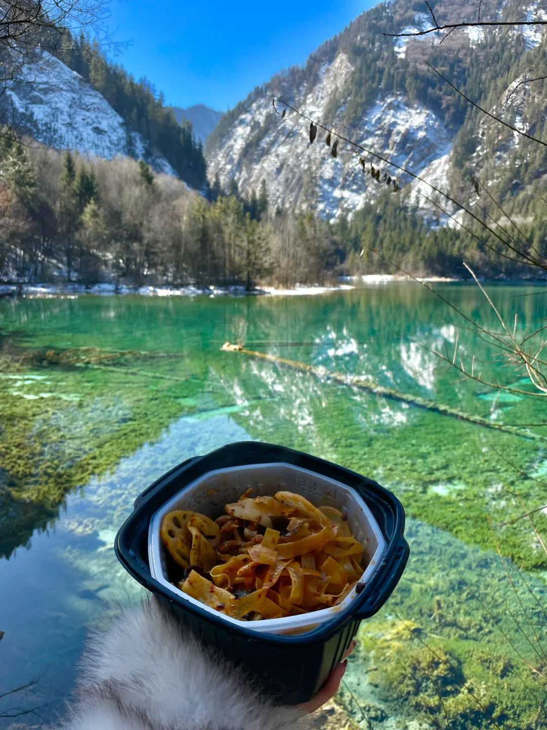 大年初一！我被九寨沟和水獭🦦美得睡不着！！