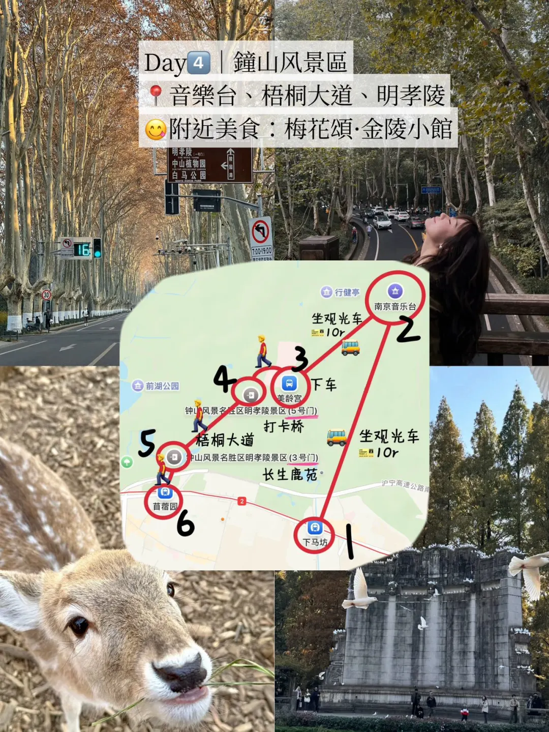 淡季的南京简直人间理想🥹超松弛路线🚶‍♂️