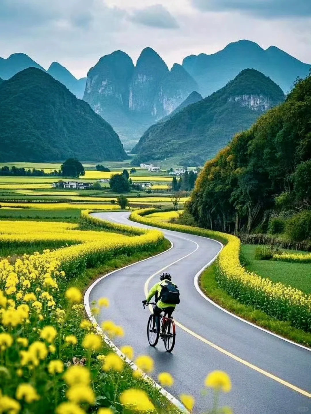 竟然有直飞！春节赏花，我推荐来贵州万峰林