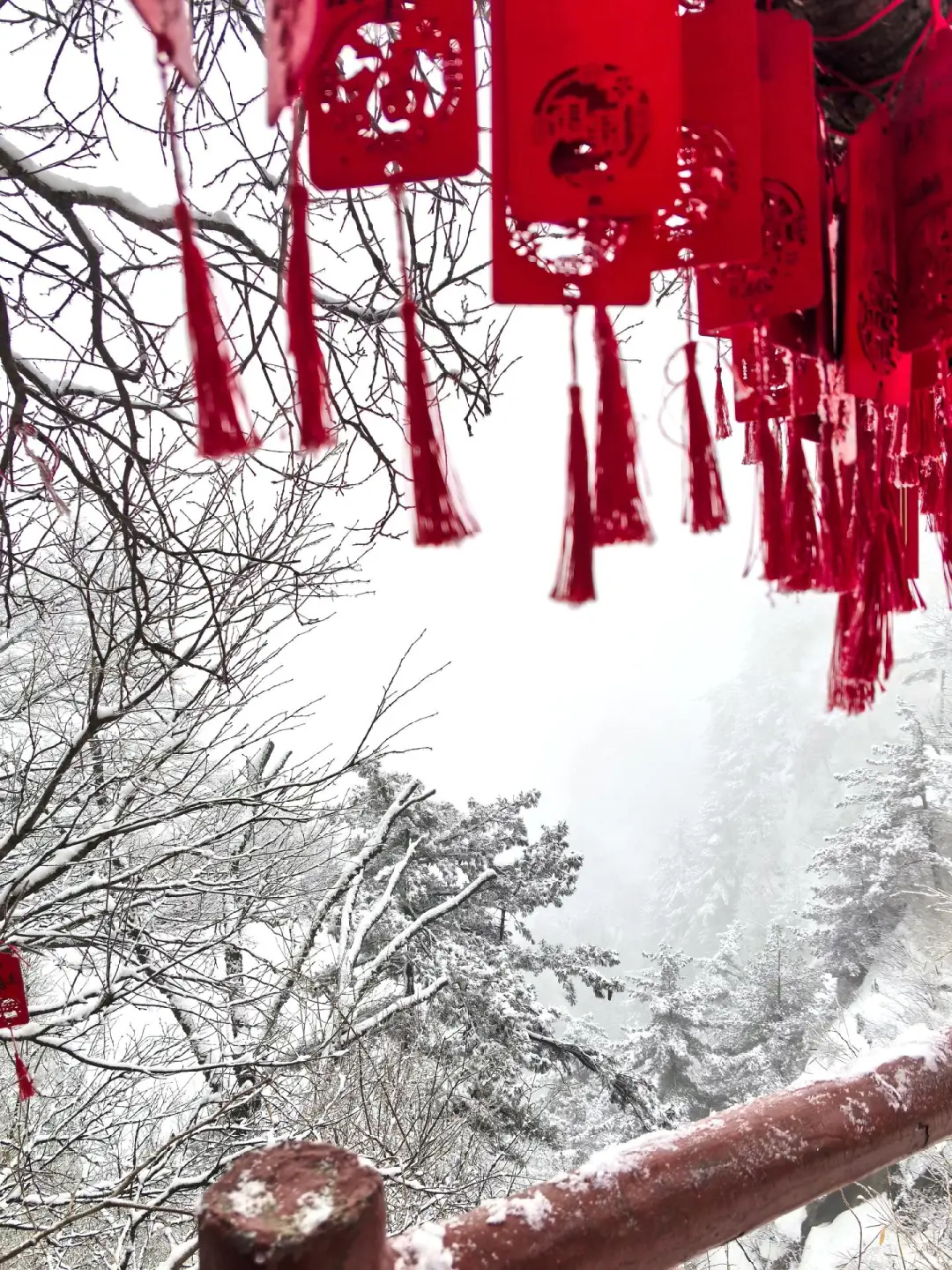 2.3号老君山实况，抵达山顶彻底崩溃了🥶……