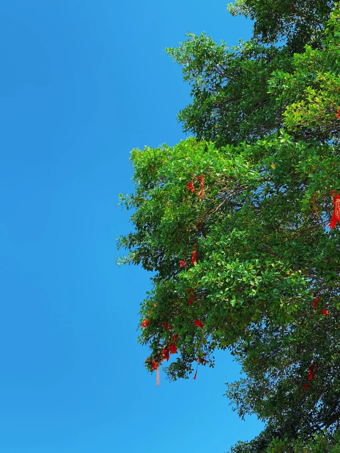 登顶高榜山 | 在人生的道路上，要向前向前！