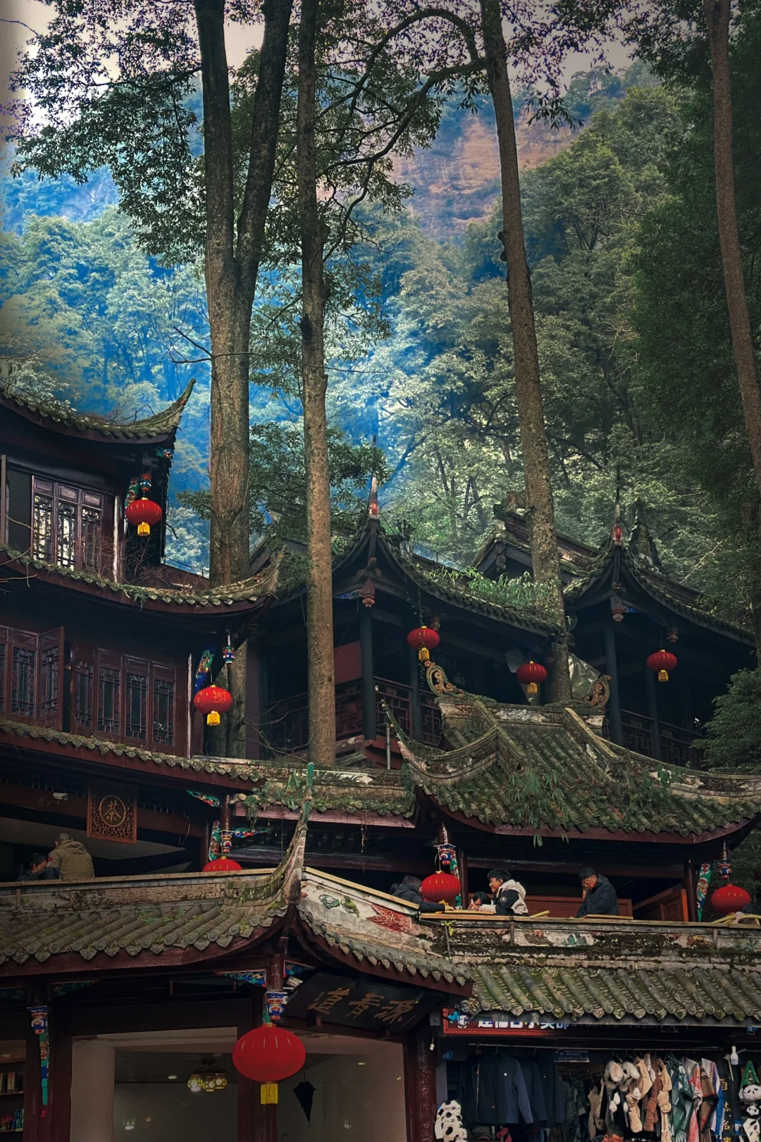 春节青城山前山 已累趴