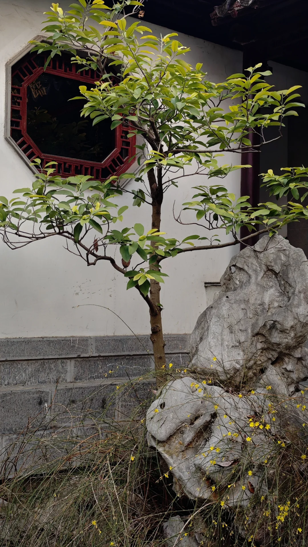 瞻园新造园，气韵有传承