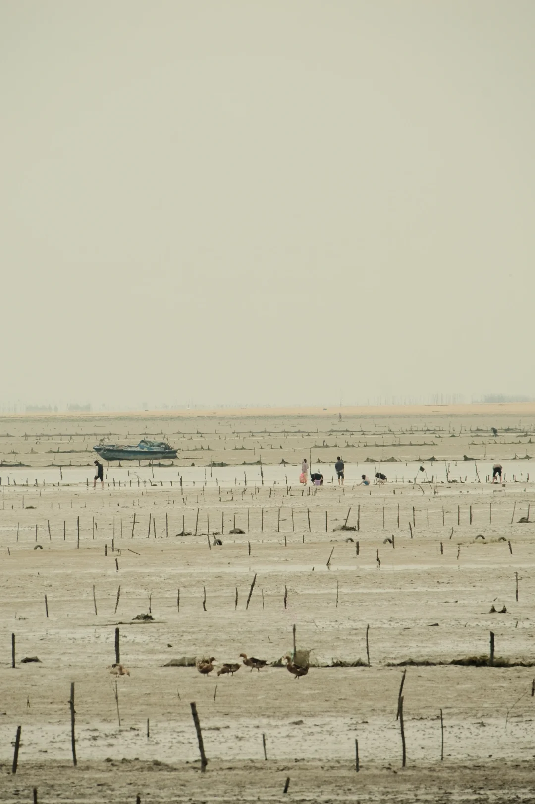 北海青山头景区