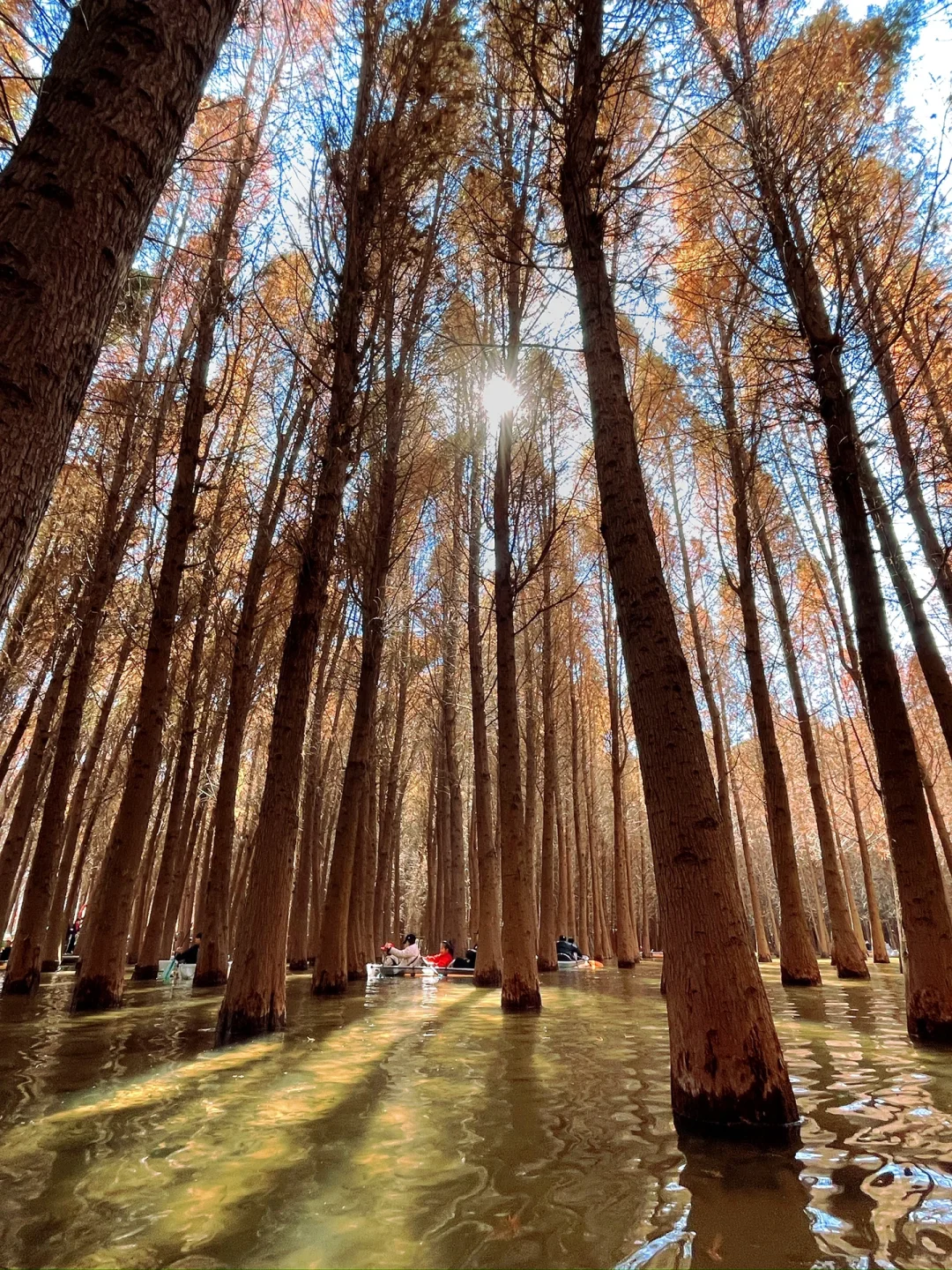 🚶🏻‍♀️昆明三条Citywalk路线，本地人最爱！