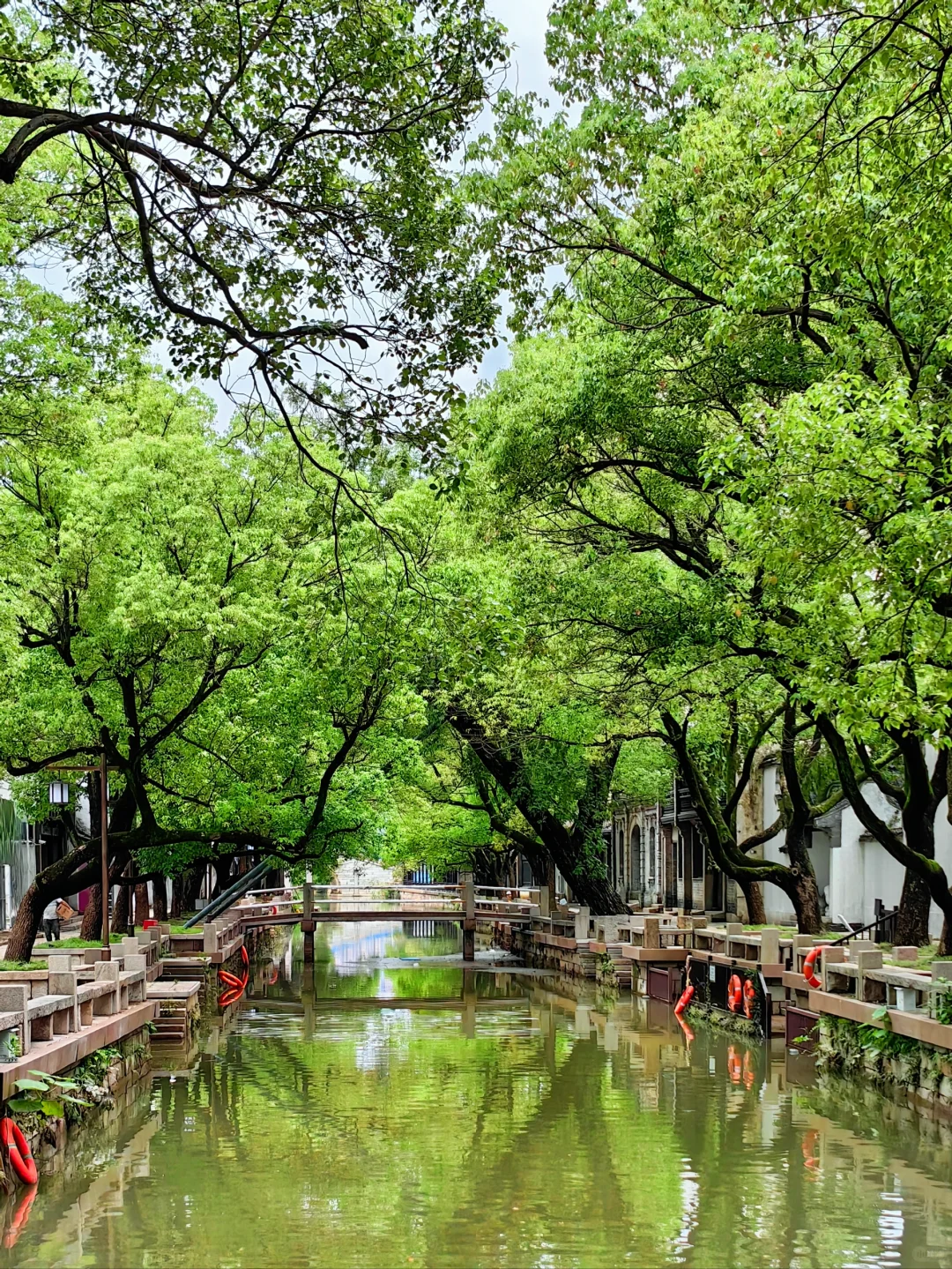 江南水乡灯火阑珊💙春晚会场无锡3日攻略