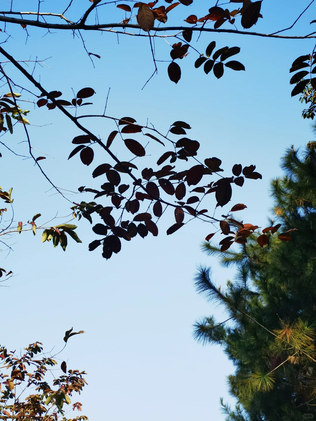 广东中山国家森林公园 — 金钟湖景区