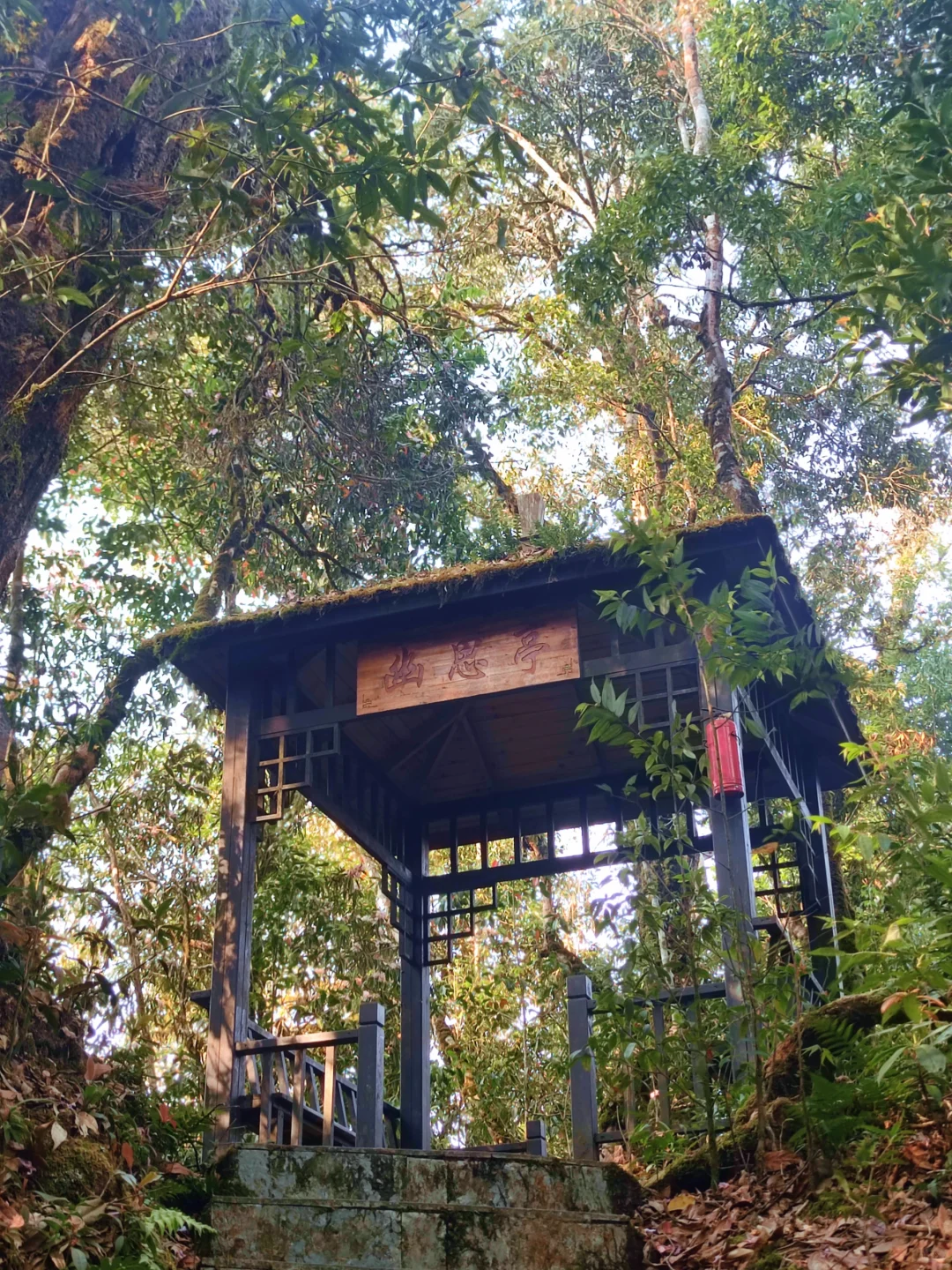 🚪云南屏边:一道被隐藏的自然奇观之门