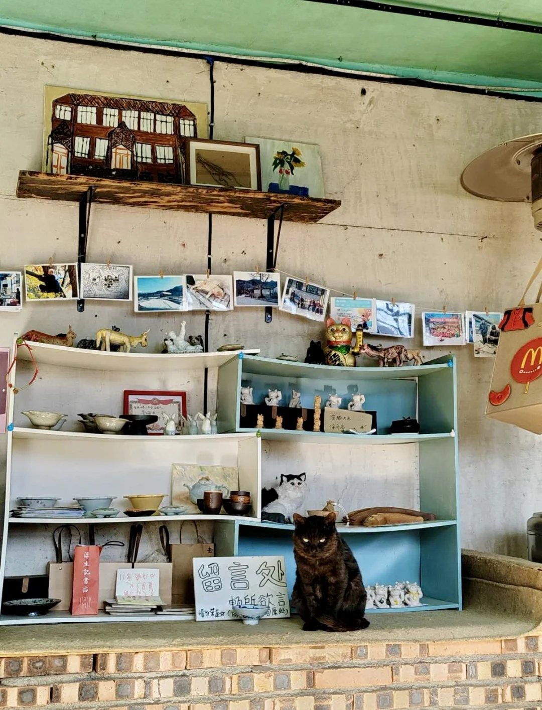 保定 | 阜平猫村「到有猫的地方去」🐱