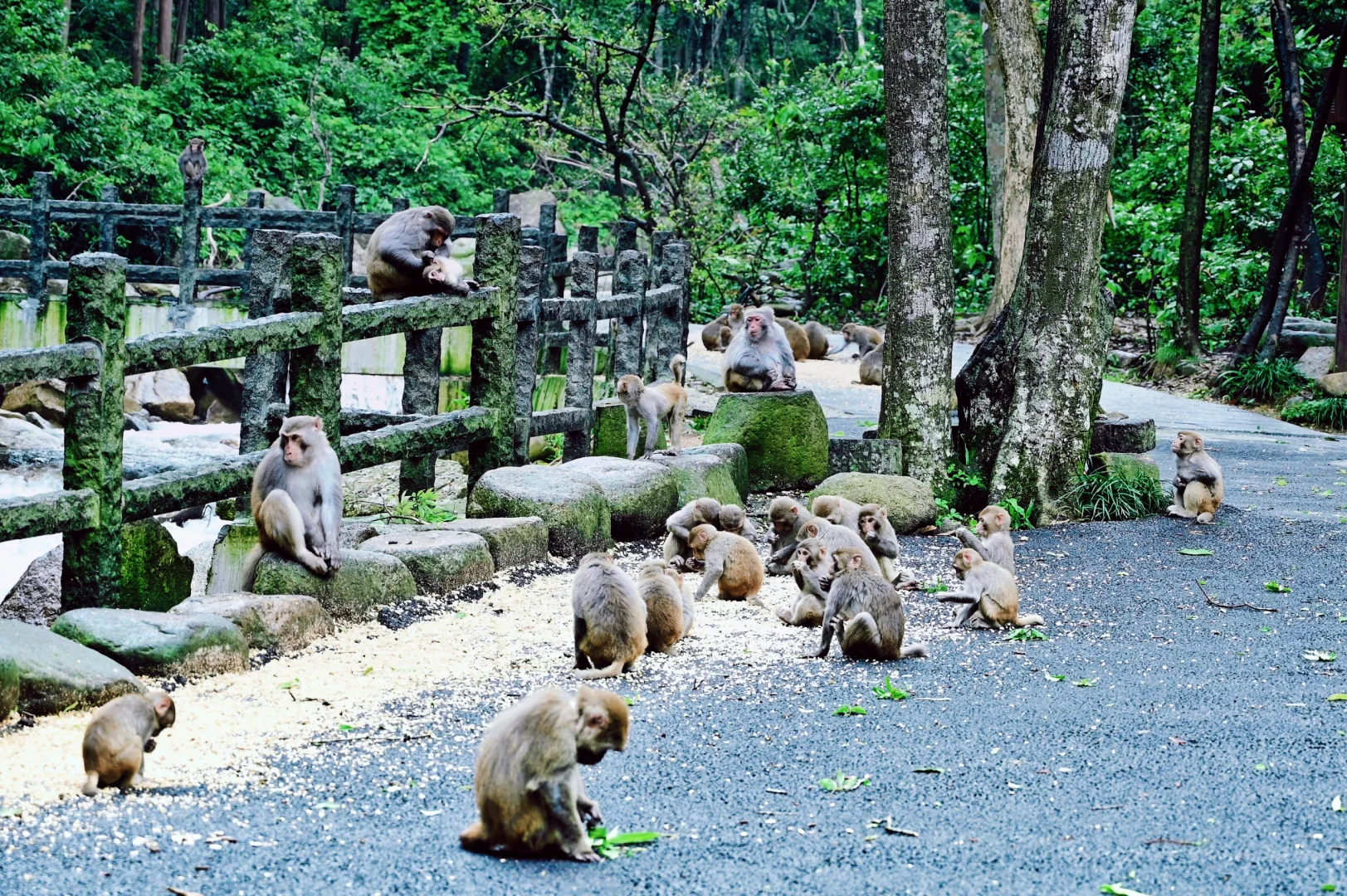 来广西玩，真的不要错过这里