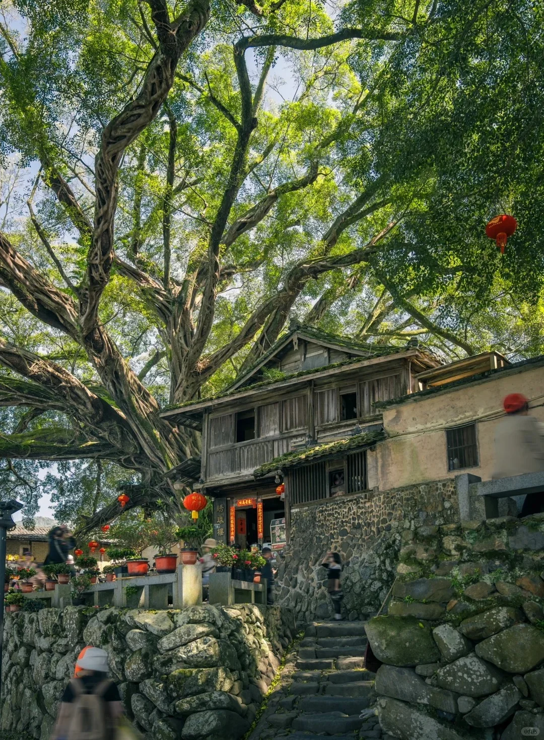 以为泉州厦门够美了，直到我去了漳州…