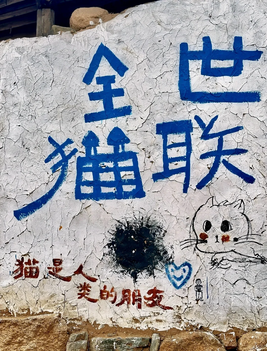 保定 | 阜平猫村「到有猫的地方去」🐱