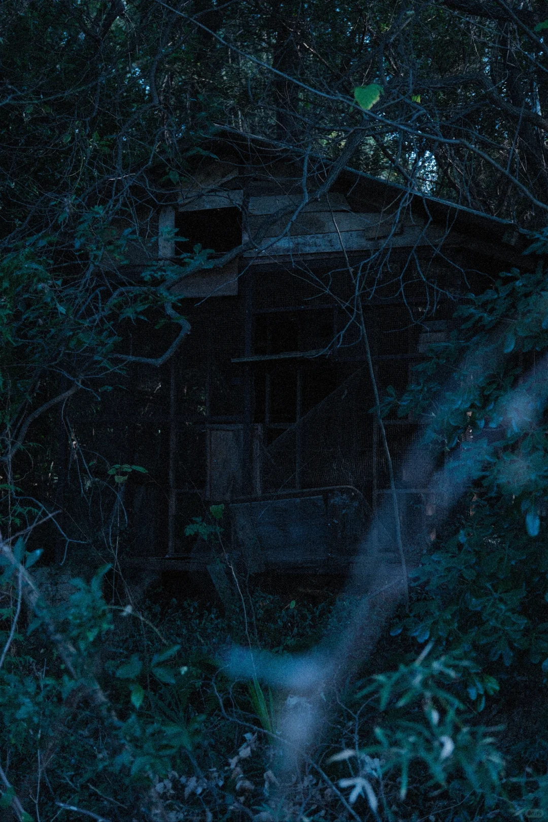 南昌丨环球公园（半废弃状态）随拍📷