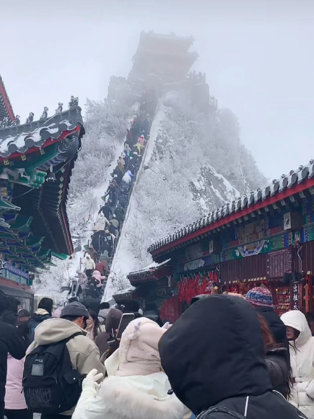 2.2号老君山实况，无语了家人们，趁早出发