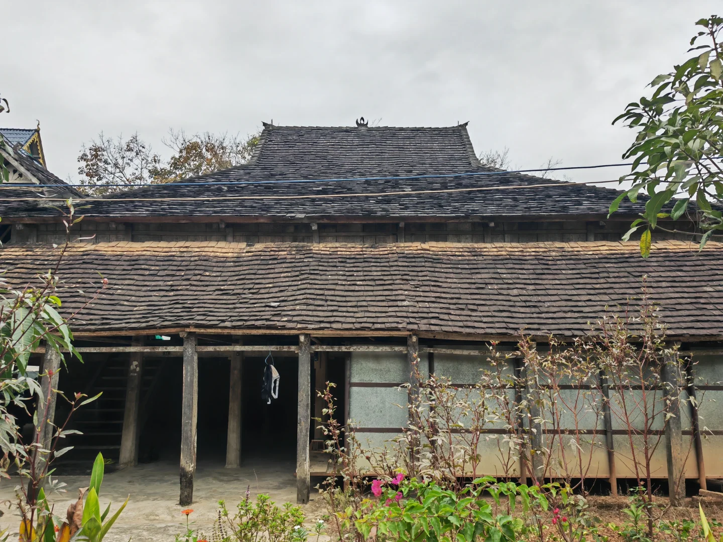 版纳回来说点大实话!