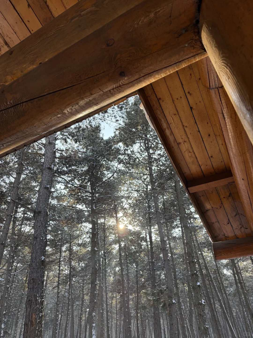 净月潭2025冬季最新游玩攻略❗️