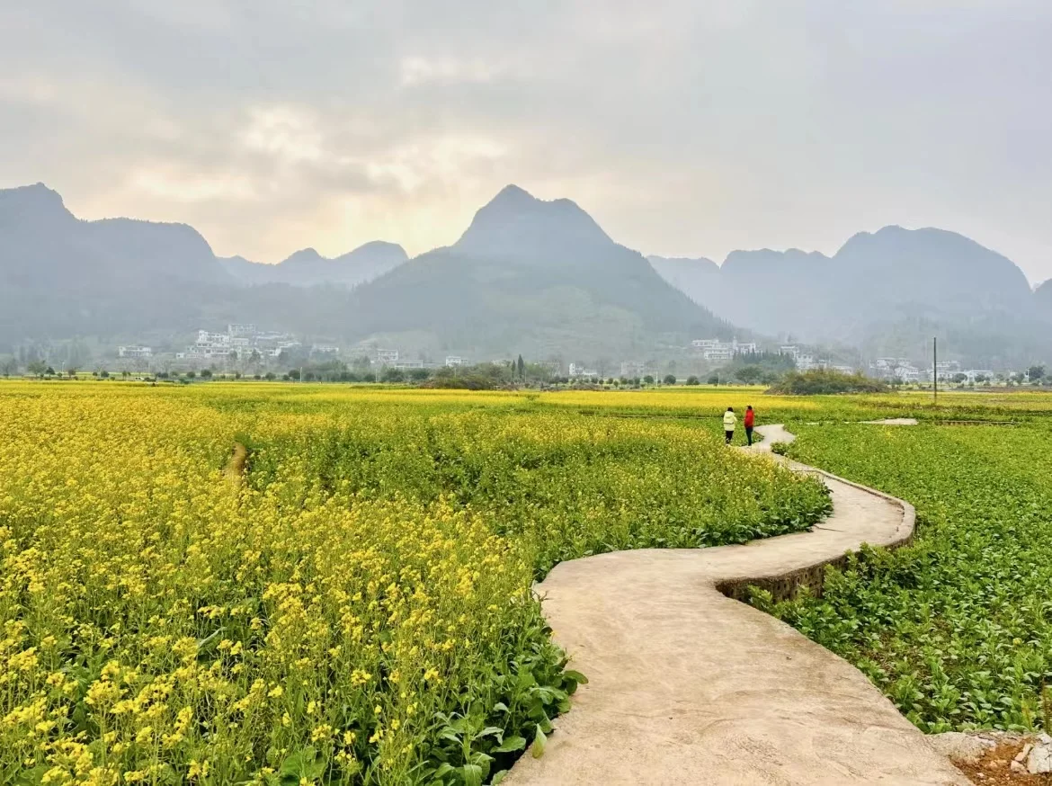 【万峰林马岭河2日游攻略】