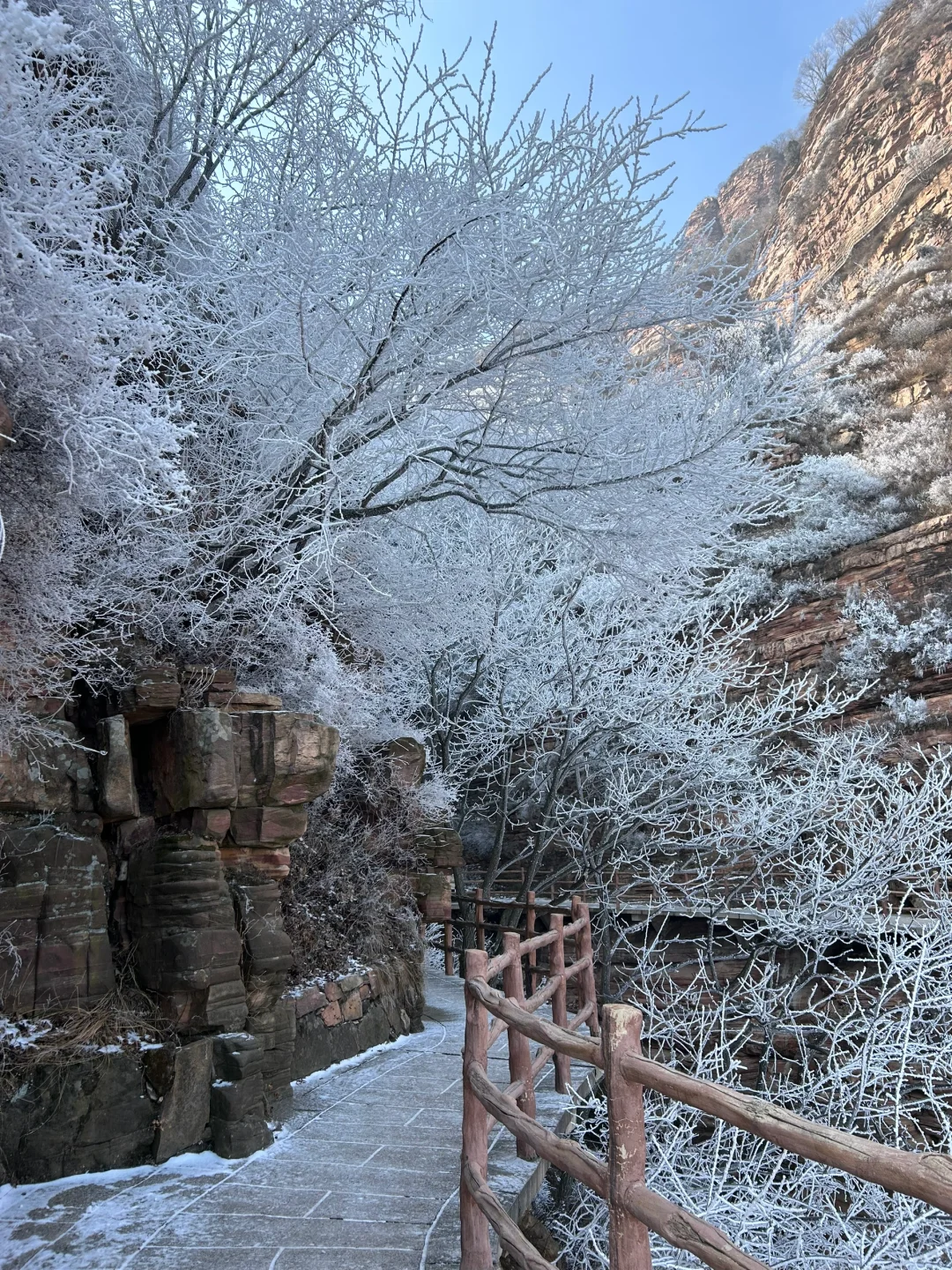 东太行山这么美，大年初四竟然人这么少！