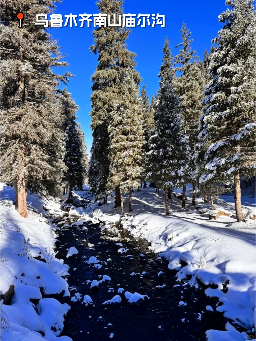 乌市周边游｜藏在庙尔沟的絶美蓝冰瀑布！